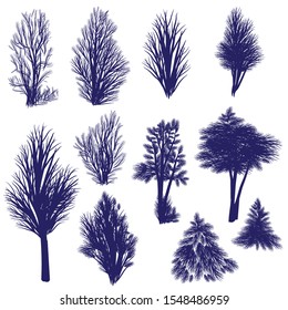 A set off tree silhouettes vector illustrations. Deciduous plants with bare branches in winter season. Conifer sketches. Great for creating landscapes.
