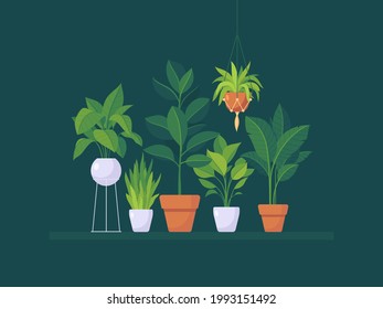 Set of office and home plants for interior decoration. Urban jungle. Cartoon plant pots on green background