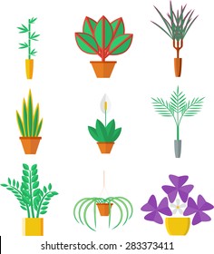 Set of office and indoor plants in pot. Flat style icon on white background