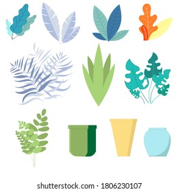 Set of office plants flower pots for business illustrations