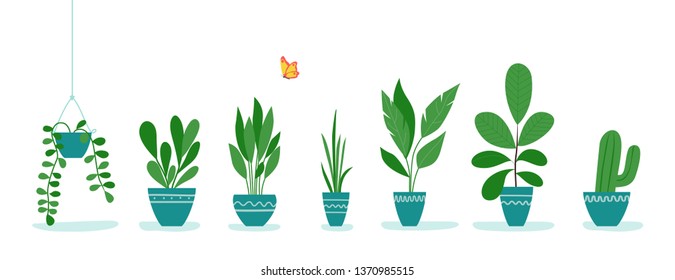 Set Of Office Plants In Pots.  Vector Flat Style Illustration