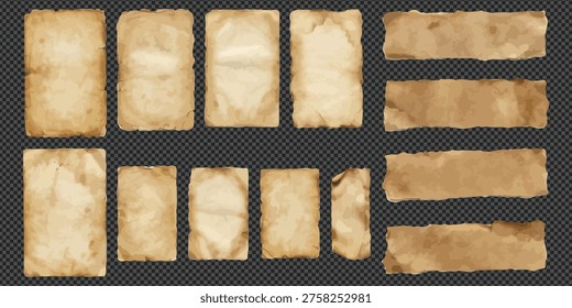 Set of old, torn, and worn paper pieces in various shapes and sizes