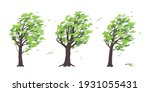 Set of old trees with dark trunks and green leaves isolated on white background. Deciduous tree in blowing wind, windy weather, plants during a storm. Simple vector illustration in flat cartoon style.