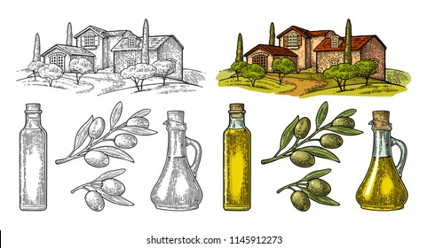 Set olive. Bottle and Jug glass of liquid with cork stopper and branch with leaves. Rural landscape with villa or farm with field, tree and cypress. Vector vintage color engraving on white background