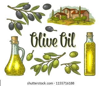 Set olive. Bottle and Jug glass of liquid with cork stopper and branch with leaves. Rural landscape with villa or farm with field, tree and cypress. Vector vintage color engraving on white background