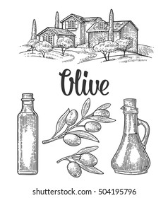 Set olive. Bottle and Jug glass of liquid with cork stopper and branch with leaves. Rural landscape with villa or farm with field, tree and cypress. Vector vintage engraving on white background.