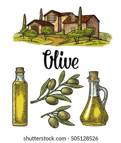 Set olive. Bottle and Jug glass of liquid with cork stopper and branch with leaves. Rural landscape with villa or farm with field, tree and cypress. Vector vintage color engraving on white background