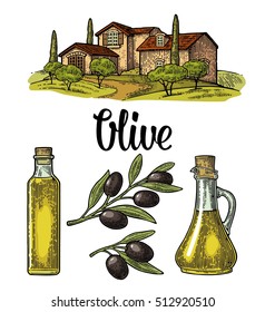 Set olive. Bottle and Jug glass of liquid with cork stopper and branch with leaves. Rural landscape with villa or farm with field, tree and cypress. Vector vintage color engraving on white background