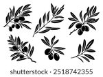 Set of Olive Branch black silhouettes isolated