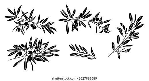 Set of olive branch black silhouettes with leaves and fruits. Vector botanical illustration isolated on white background. Perfect for packaging, logos, labels, and natural designs