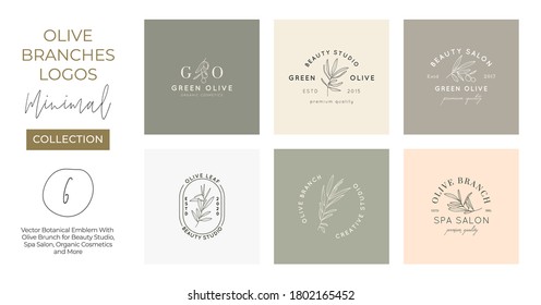 Set Of Olive Branch With Leaves Logo Design Template In Simple Minimal Linear Style. Abstract Feminine Vector Signs With Floral Illustration For Beauty Studio, SPA, Organic Cosmetics, Studio