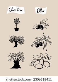 set of olive branch and olive trees. Hand drawn illustrations