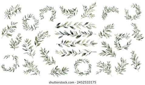 Set of olive branch watercolor on white. Hand drawn isolated ink painting leaf decor green.