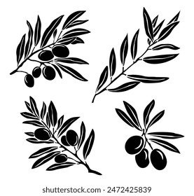 Set of Olive Branche black silhouettes. Branches With olives, Leaves for creating logos, patterns, greeting cards, wedding Invitations. Vector drawing isolated on white background.