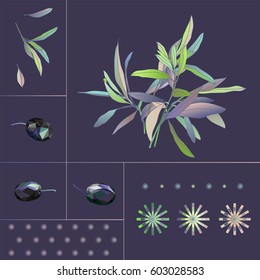 A set of olive branches, berries and blossoms in the black background. Design for poster, card, invitation, placard, brochure