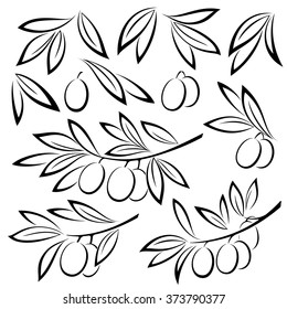 Colocar ramas de olivo, bayas y hojas en pictogramas negros monocromos aislados en fondo blanco. Vector