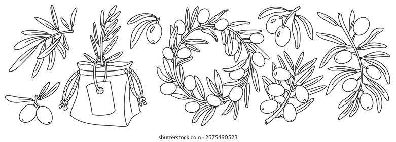 set of olive branches, contour. Twigs, a sprout, wreath of fruits. Isolated illustration on white background. An environmentally friendly product with olive oil content. the symbol of natural product