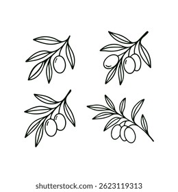 Set of olive branches. Hand drawn in doodle style. Vector isolated on white background