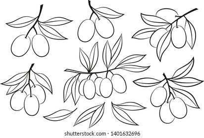 Set of Olive Branches and Leaves, Black Pictograms Isolated on White. Vector
