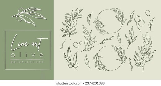 Set of Olive Branches and leaves  in Line Minimal Style. Vector Illustrations of Branches With fruits and Leaves for logos, patterns, greeting cards, wedding Invitations, social media, web design.