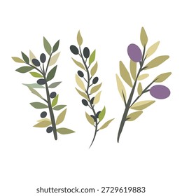Set of olive branches with leaves and olives in flat vector style. Botanical elements suitable for packaging, branding, labels, menus, stationery, natural product designs, and Mediterranean-themed illustrations