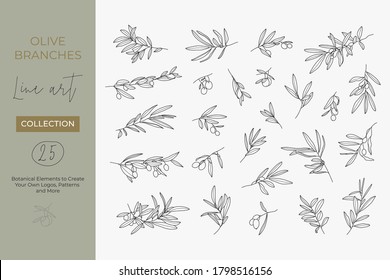 A set of Olive Branches in a Modern Linear Minimal Style. Vector Illustrations of Branches With fruits and Leaves for creating logos, patterns, greeting cards, wedding Invitations