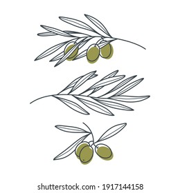 Set of olive branches in a modern linear style isolated on white background. Vector illustration