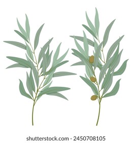 Set of olive branches with olives and leaves