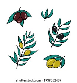 A set of olive branches on a white background. Isolated.