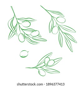 Set Of Olive Branches In Sketch Style