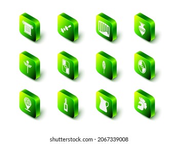 Set Olive and cheese on chopstick, Ancient column, amphorae, Greek shield, helmet, Feather pen, Bottle of olive oil and  icon. Vector
