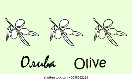 A set of olive fruit objects with the inscription "olive" in Russian and English. Simple vector illustration, eps