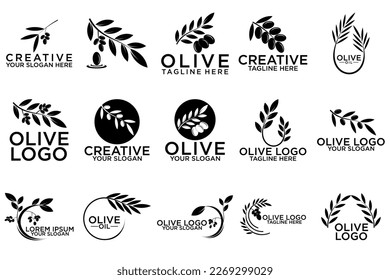 Conjunto de logotipo, etiqueta, placa o emblema escrito a mano de oliva. Aislado sobre fondo blanco. Ilustración del vector