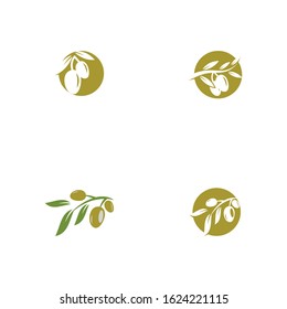 Set olive icon vector illustration design template