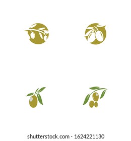 Set olive icon vector illustration design template