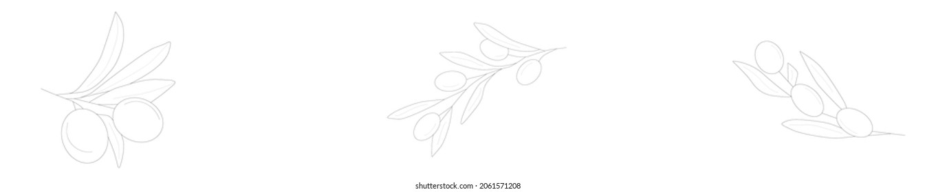conjunto de íconos lineales de oliva