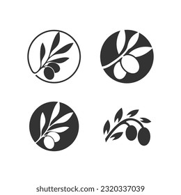 Colección de diseño del logo del olivo con un concepto moderno