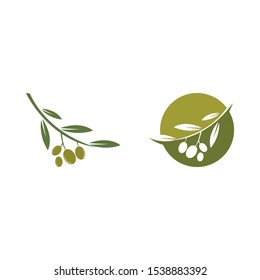 Set of Olive logo template vector icon illustration design