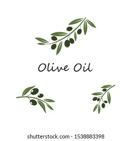 Set of Olive logo template vector icon illustration design