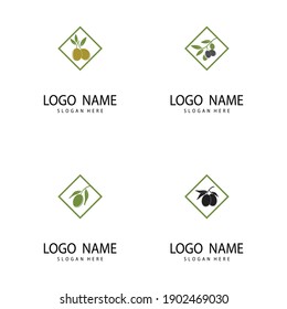 Establecer diseño de ilustración de icono vectorial de la plantilla de logotipo Olive