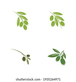 set of Olive logo template vector icon illustration design