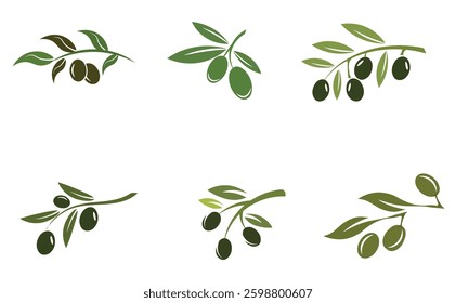 set of Olive logo template vector icon illustration design