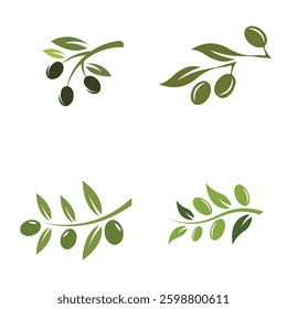 set of Olive logo template vector icon illustration design