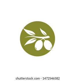 set of Olive logo vector illustration design 
