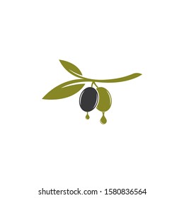 set of Olive logo vector illustration design 