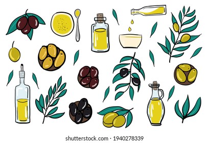 Set of olive oil, bottle, olives, branches on a white background. Hand drawing.