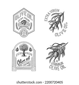 Set of Olive oil and branch of trees logo. Organic vegetarian product in bottle. Green plant badge emblem patch sticker. Engraved hand drawn in old vintage sketch. Vector illustration.