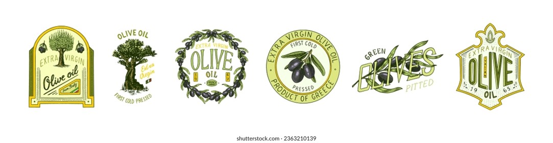 Set of Olive oil and branch of trees logo. Organic vegetarian product in bottle. Green plant badge emblem patch sticker. Engraved hand drawn in old vintage sketch. Vector illustration.