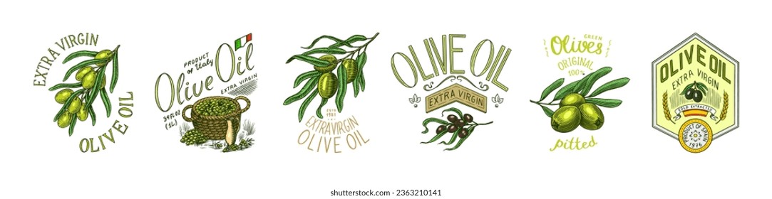 Set of Olive oil and branch of trees logo. Organic vegetarian product in bottle. Green plant badge emblem patch sticker. Engraved hand drawn in old vintage sketch. Vector illustration.