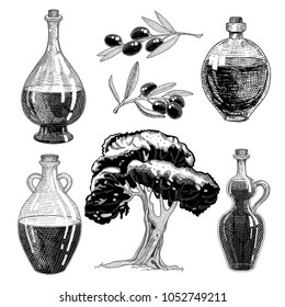 Set for olive oil design: olive tree branches and bottle. Hand drawn sketch. Vector illustration.